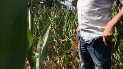 Summer, Sun, Corn & Wanking & Piss - boyfriendtv.com