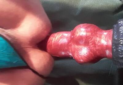 Wolf knot dildo in my ass - boyfriendtv.com